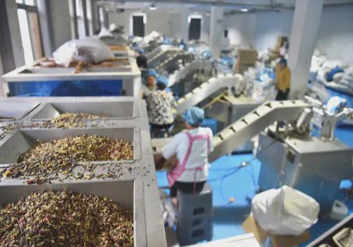 益保护「新质供给」引领产业升级AG旗舰厅网站拼多多加码商家权(图3)