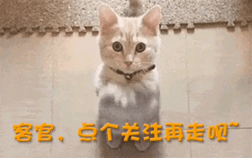中产最爱的电商平台停运曾叫板淘宝！AG旗舰厅烧光3000万美元！又一(图7)